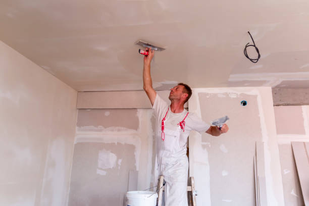 Best Water-Damaged Drywall Repair  in North Browning, MT